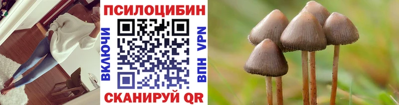 Псилоцибиновые грибы Cubensis  Купить где  Суворов 